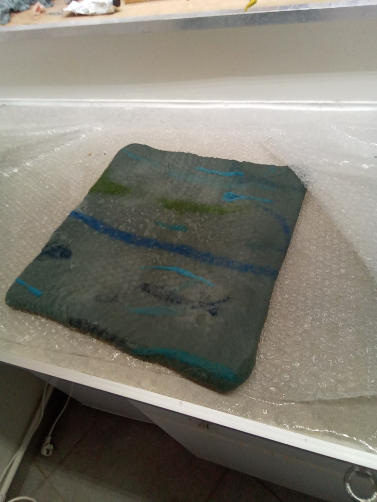 IMG_20230129_145623_314